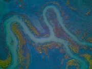 Winding Creeks, Privateer Creek Marsh