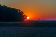 Bhicket Creek Sunset